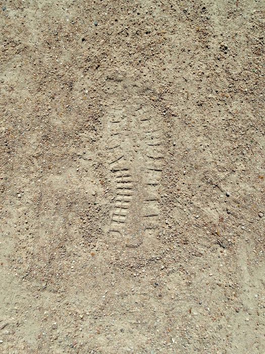 My Footprint