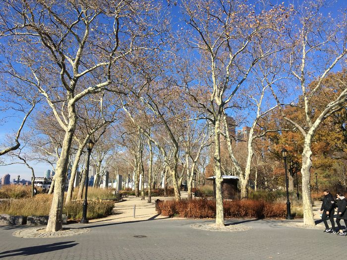 Battery Park