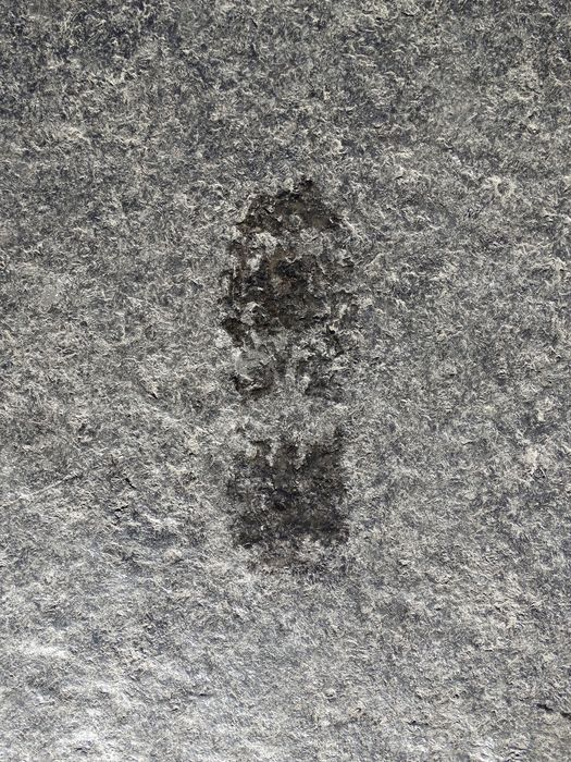 My Footprint