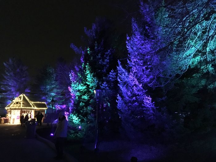 Winterfest