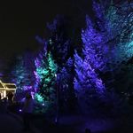 Winterfest