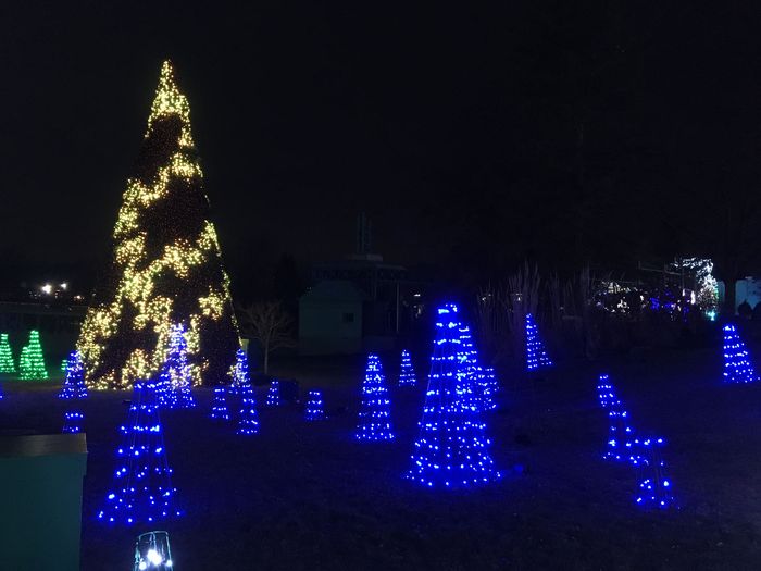 Winterfest