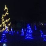 Winterfest