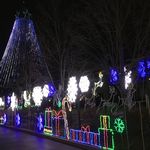 Winterfest