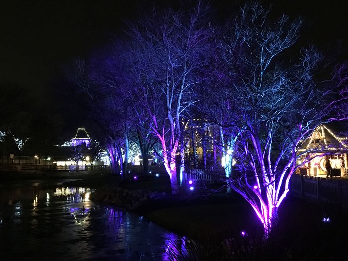 Winterfest