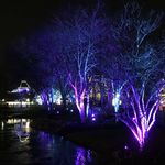 Winterfest