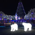 Winterfest