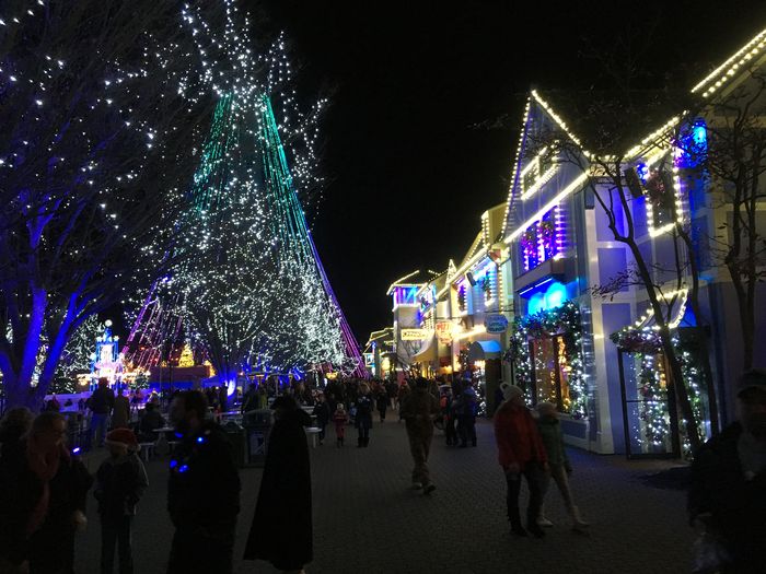 Winterfest