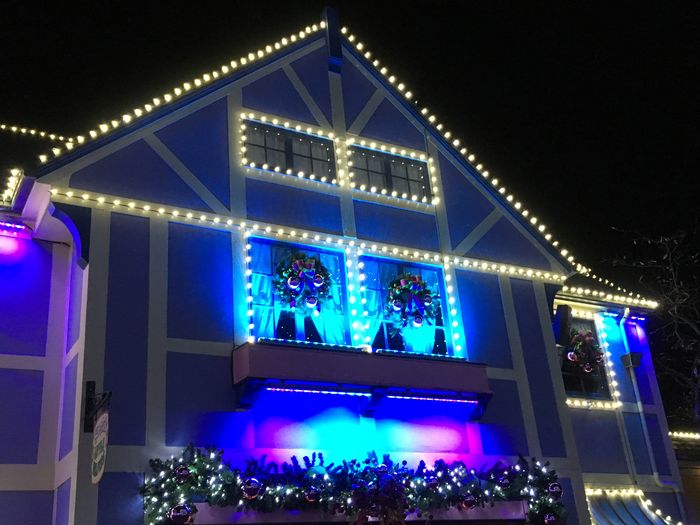 Winterfest