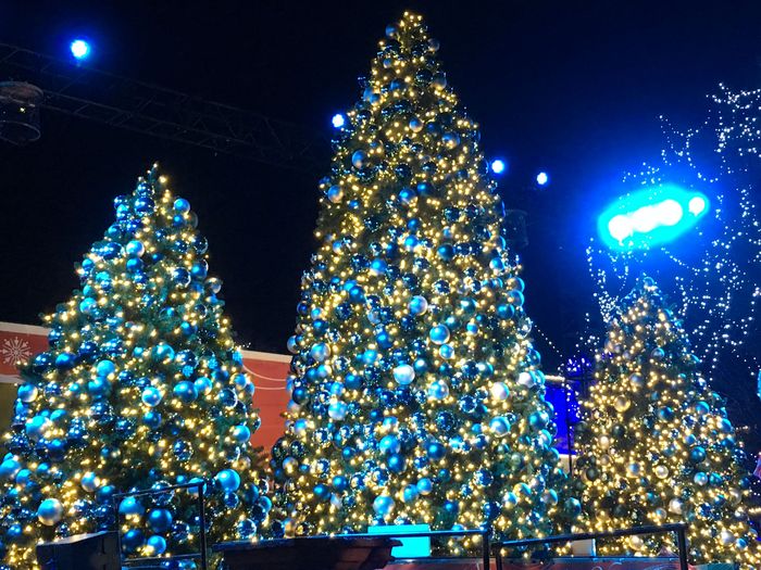 Winterfest