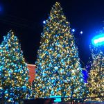 Winterfest