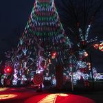 Winterfest