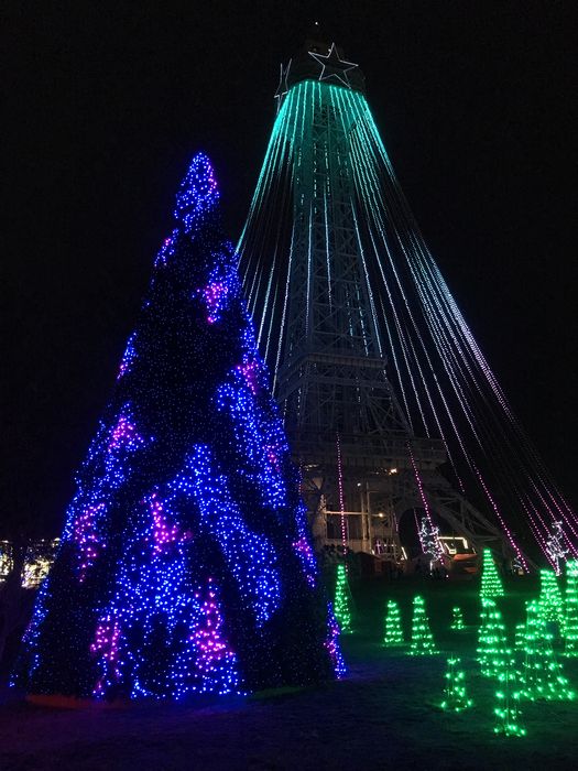 Winterfest