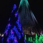 Winterfest