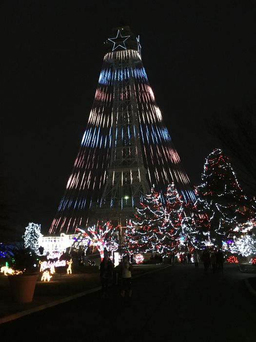 Winterfest