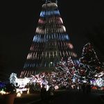 Winterfest