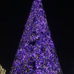 Winterfest