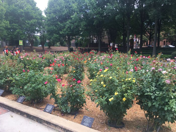 Martin Luther King Jr. National Historical Park