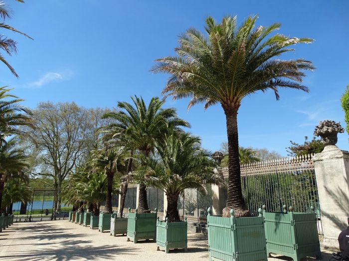 Palace and Gardens of Versailles