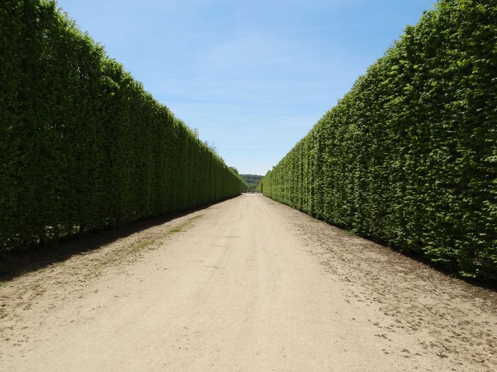 Palace and Gardens of Versailles