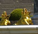 Versailles
