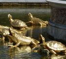 Versailles