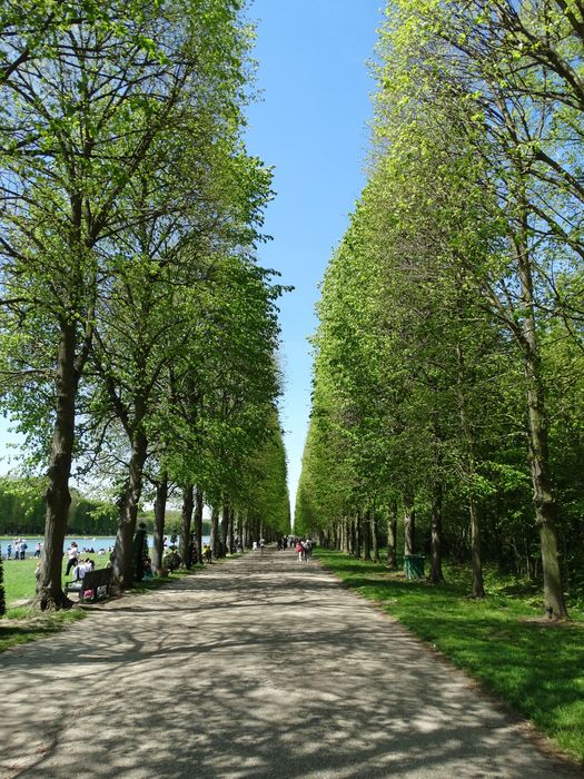 Palace and Gardens of Versailles
