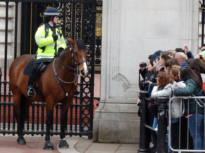 Buckingham Palace