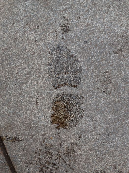 My Footprint