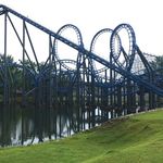 Blue Hawk