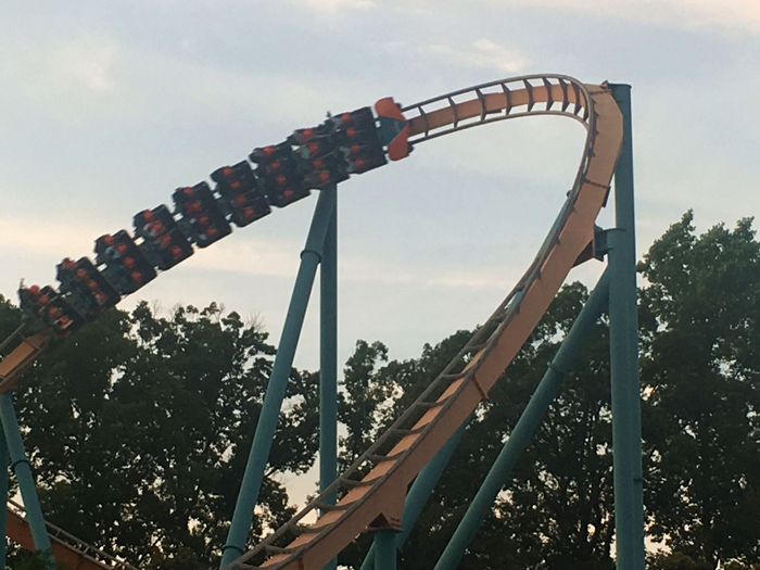 Goliath