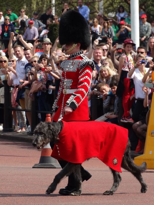 Buckingham Palace