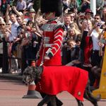 Buckingham Palace