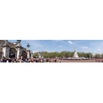 Buckingham Palace