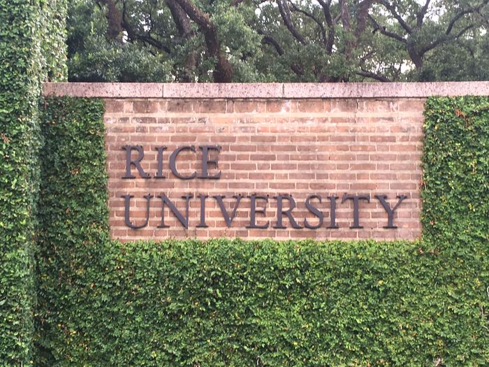 Rice University