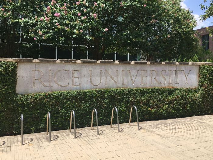 Rice University