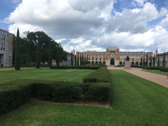 Rice University