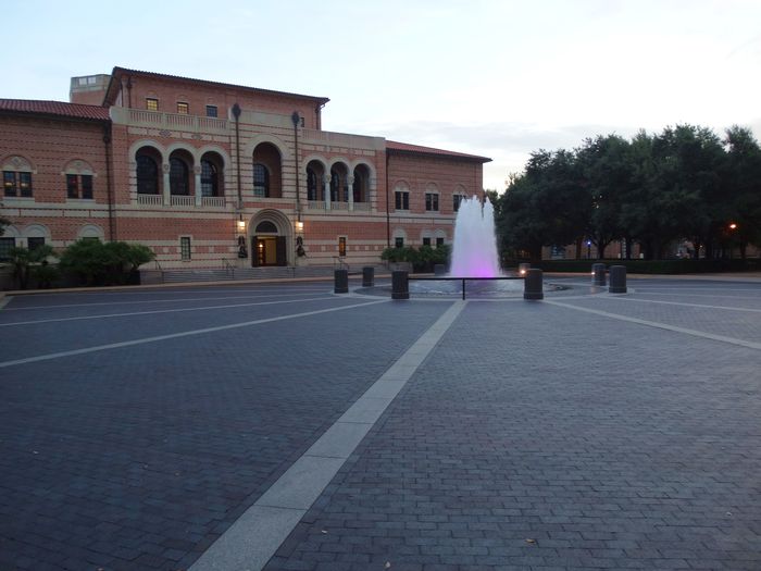 Rice University