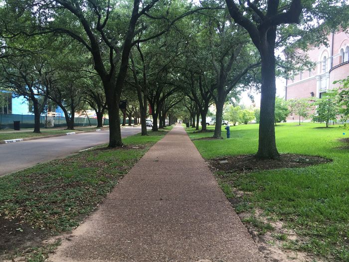 Rice University