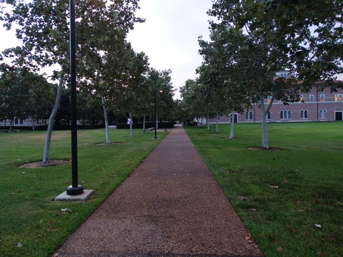 Rice University