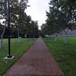 Rice University