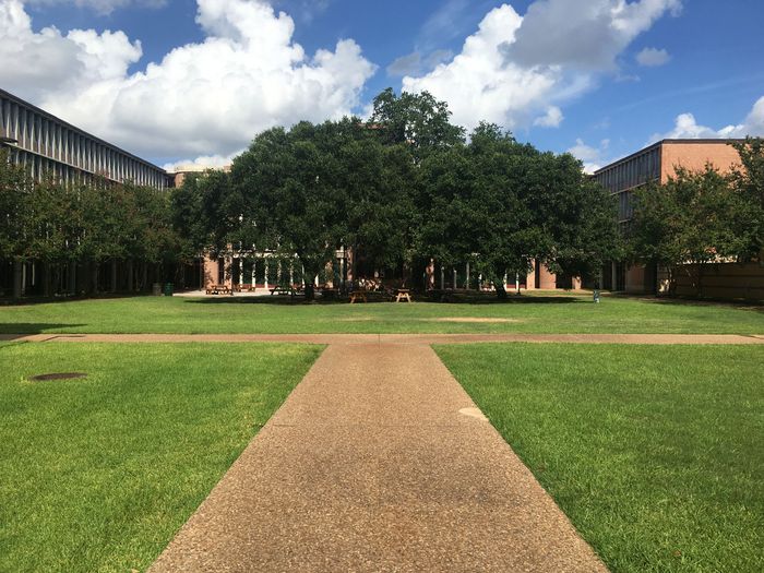 Rice University