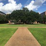 Rice University