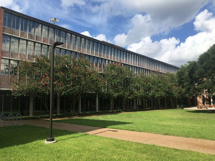 Rice University