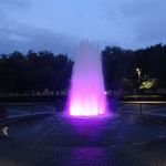 Rice University