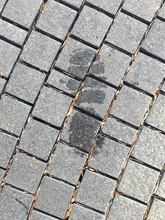 My Footprint