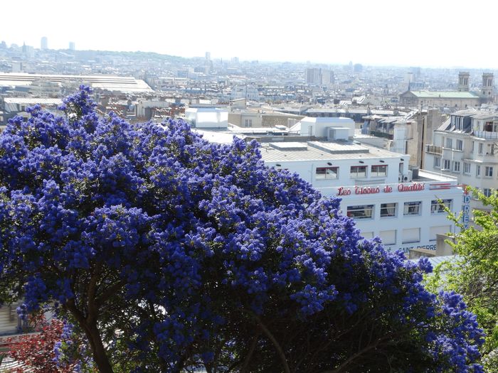 Sacre-Coeur