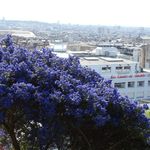 Sacre-Coeur