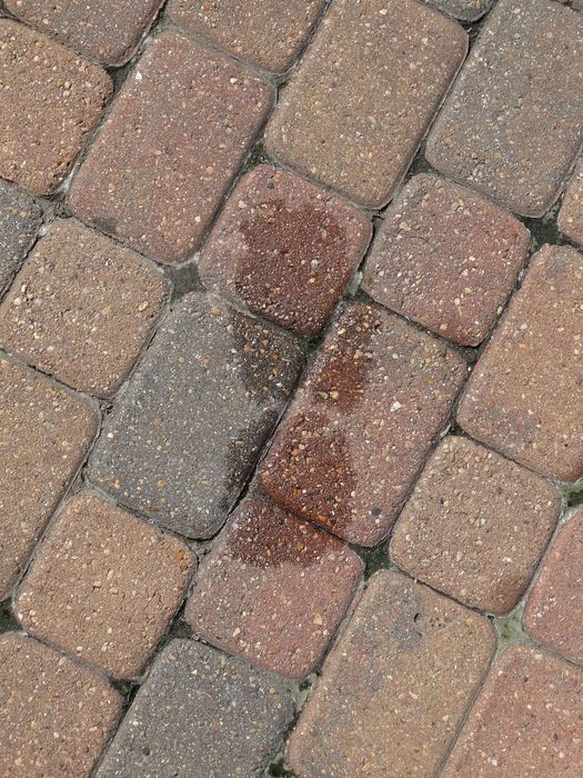 My Footprint