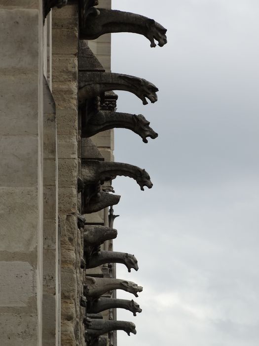Notre Dame